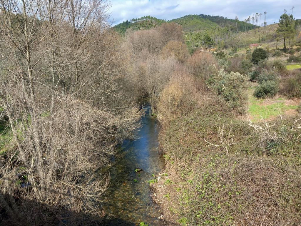 Terreno Rustico com 1450m2 Cerejeira-Alvito da Beira - Image 3